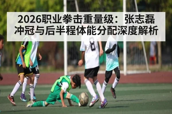 2026职业拳击重量级：张志磊冲冠与后半程体能分配深度解析