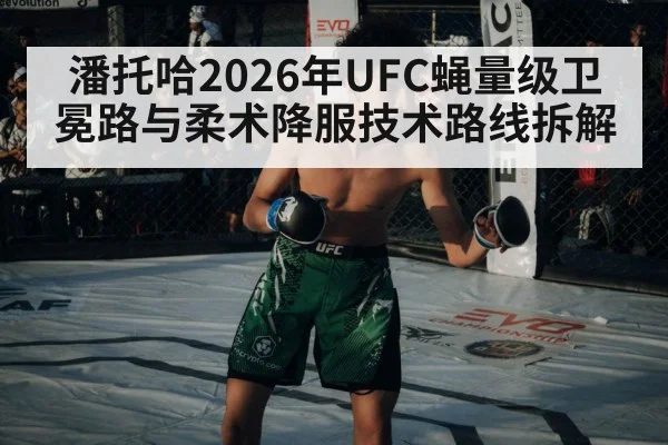 潘托哈2026年UFC蝇量级卫冕路与柔术降服技术路线拆解
